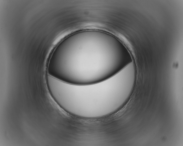 X0000090901384200707301002