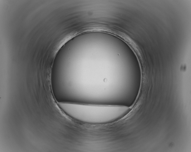 X0000090901385200707301002