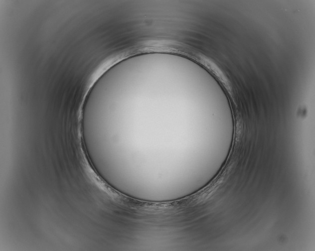 X0000090901386200707301002