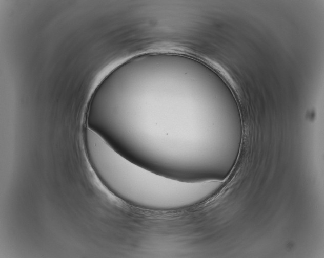 X0000090901387200707301002