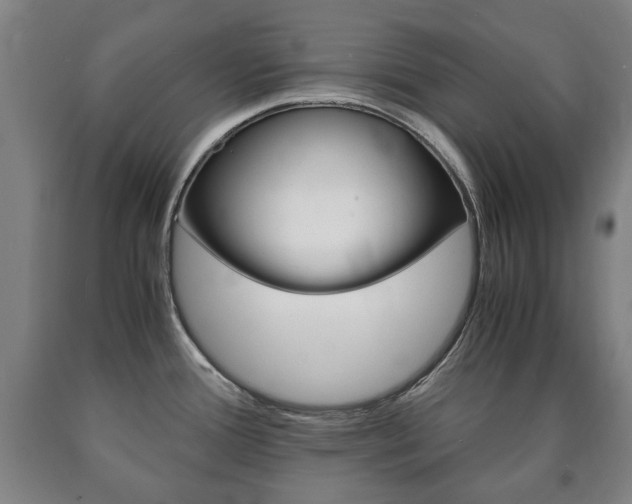 X0000090901388200707301002