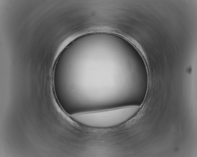 X0000090901389200707301002