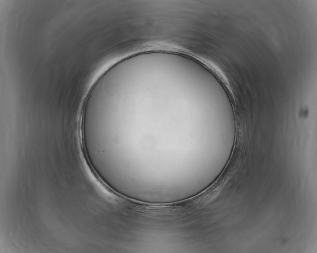 X0000090901391200707301002
