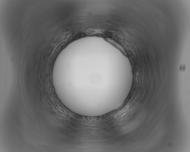 X0000090901393200707301001