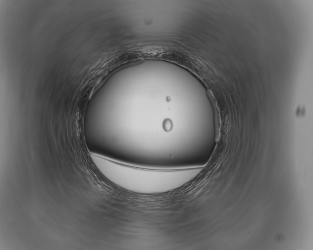 X0000090901394200707301001