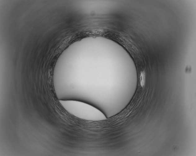X0000090901395200707301001