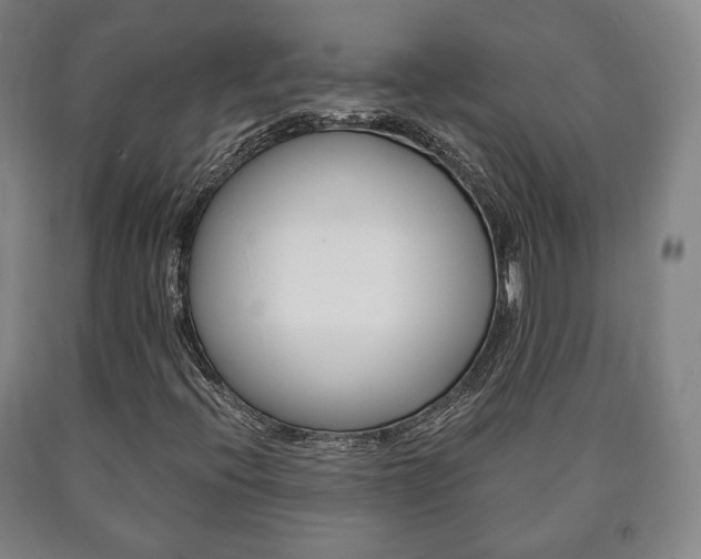 X0000090901396200707301001