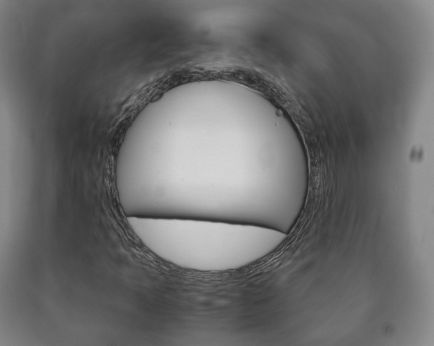 X0000090901397200707301001