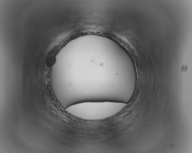 X0000090901399200707301001