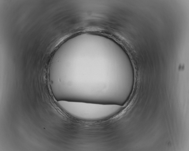 X0000090901401200707301002
