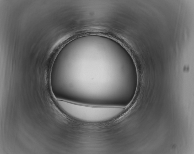 X0000090901402200707301002