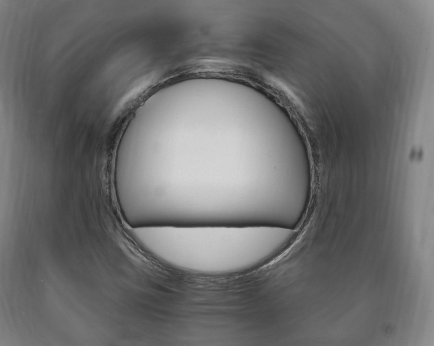 X0000090901403200707301002