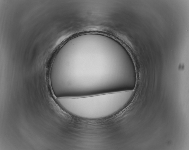 X0000090901404200707301002