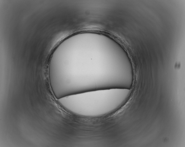 X0000090901405200707301002