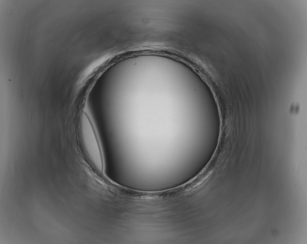 X0000090901406200707301002