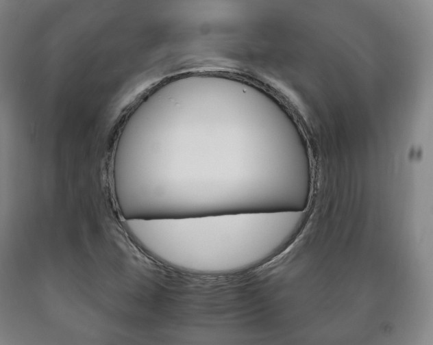 X0000090901407200707301002