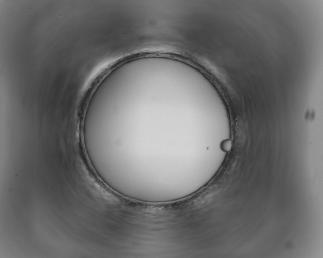 X0000090901408200707301002