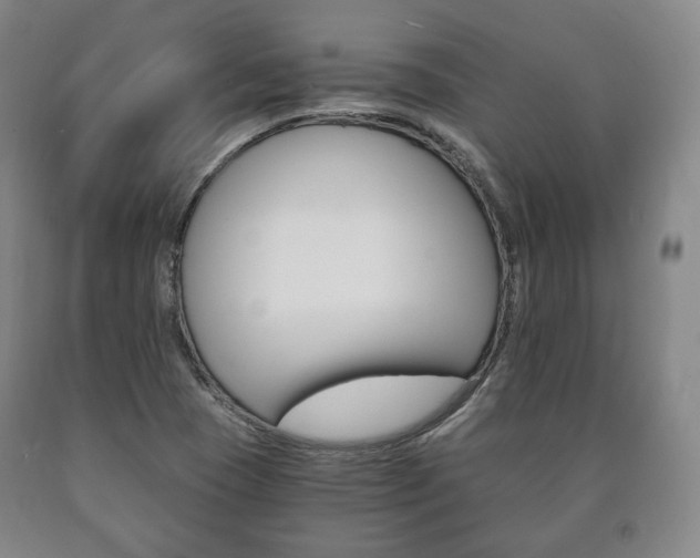 X0000090901409200707301002