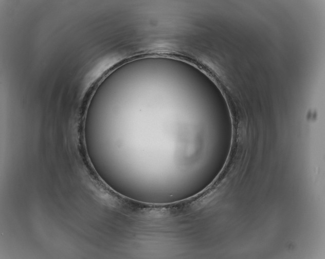 X0000090901410200707301002