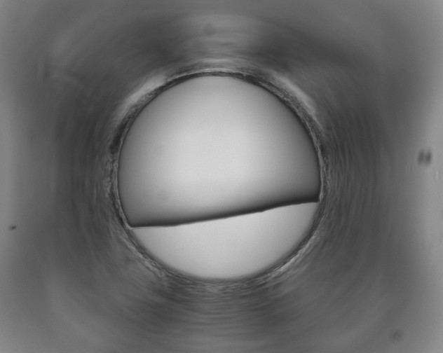 X0000090901411200707301002