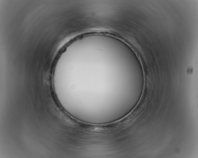 X0000090901412200707301002