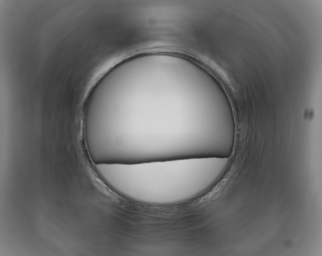 X0000090901413200707301002