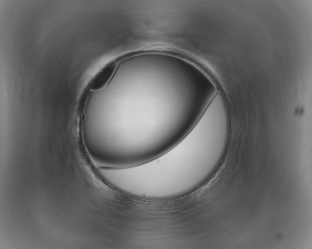 X0000090901414200707301002