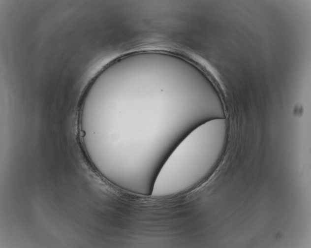 X0000090901415200707301002