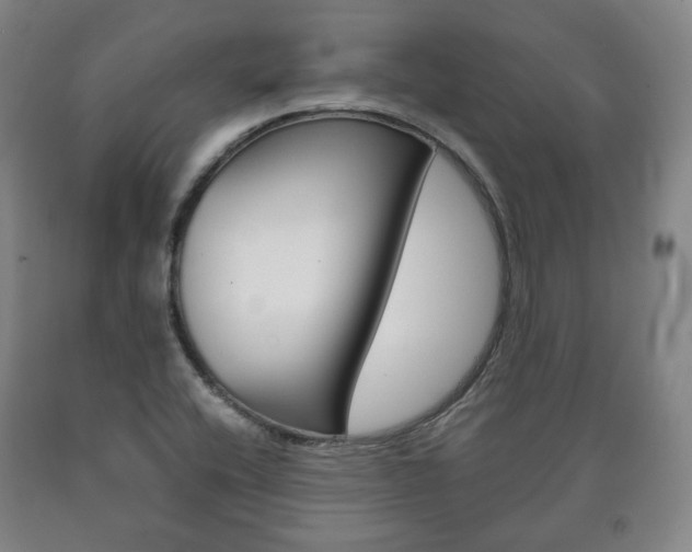 X0000090901416200707301002