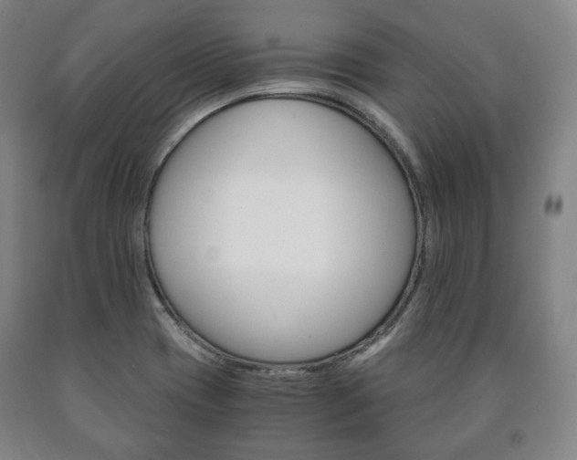 X0000090901417200707301002