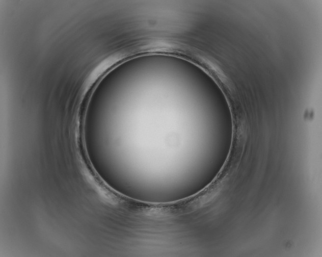 X0000090901418200707301002