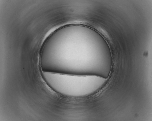 X0000090901420200707301002