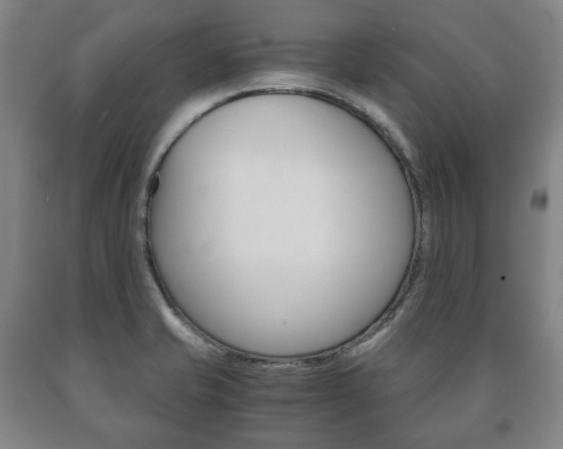 X0000090901421200707301002