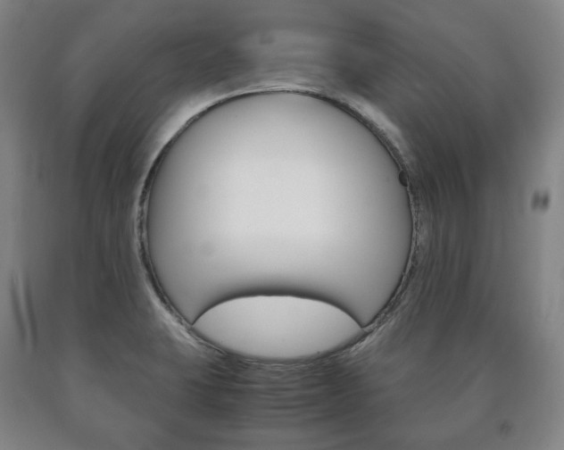 X0000090901423200707301002
