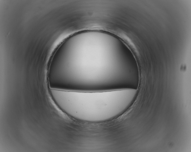 X0000090901424200707301002