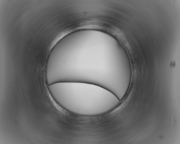 X0000090901425200707301002