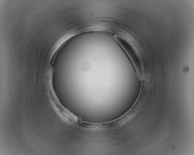 X0000090901426200707301002