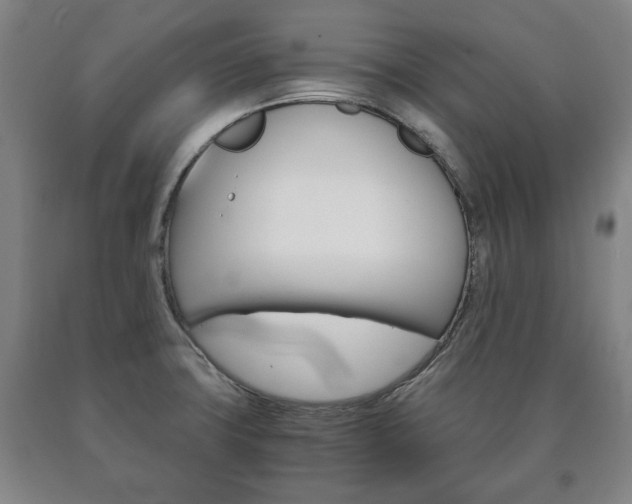X0000090901427200707301002