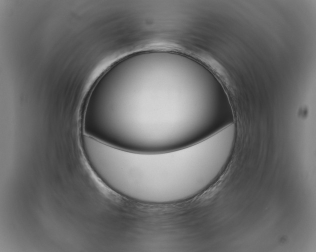 X0000090901430200707301002