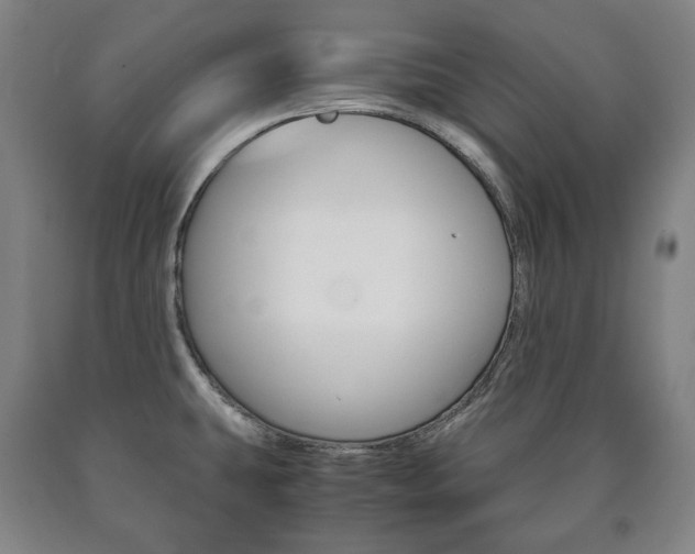 X0000090901431200707301002