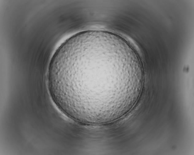 X0000090901432200707301002