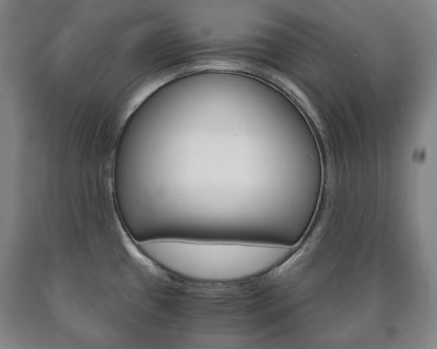 X0000090901433200707301002