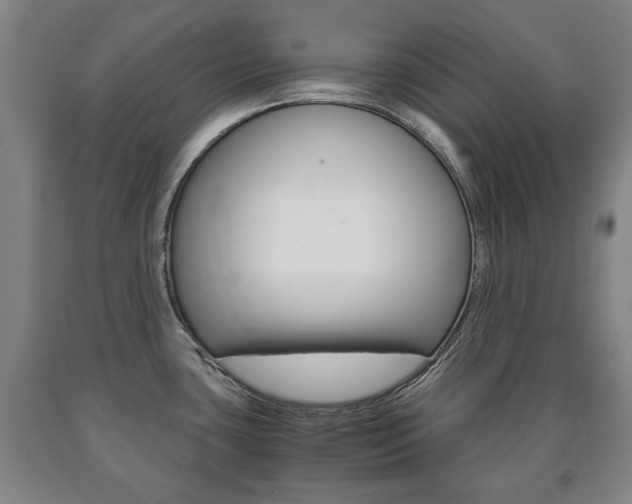 X0000090901435200707301002