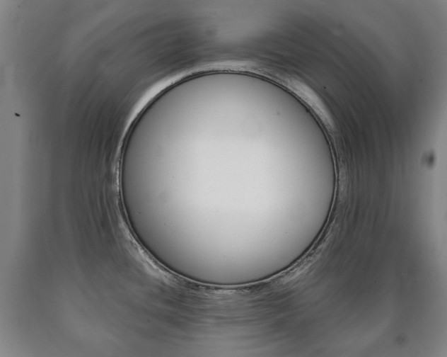 X0000090901436200707301002