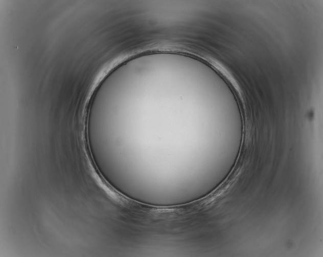 X0000090901437200707301002