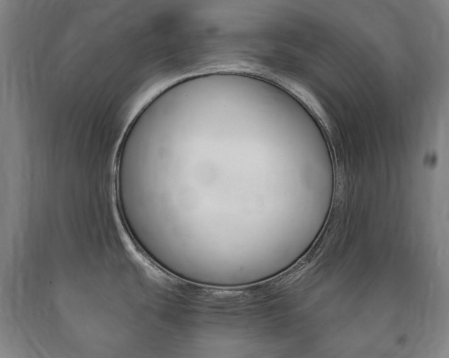 X0000090901439200707301002