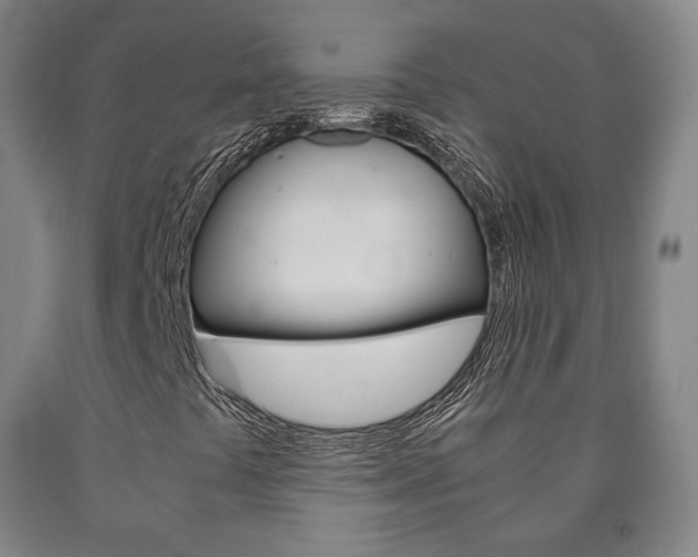 X0000090901441200707301001