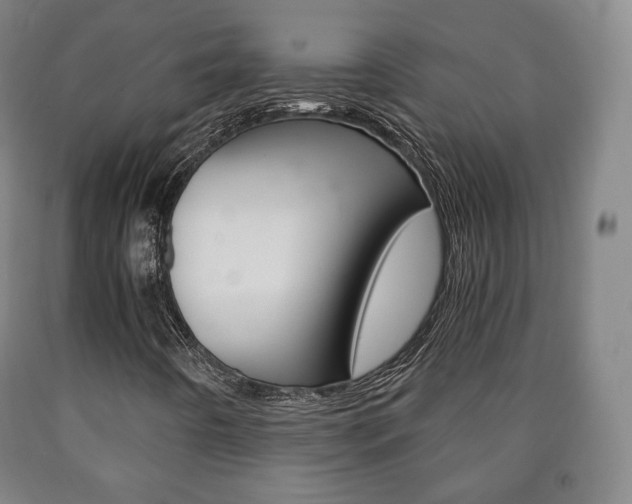 X0000090901442200707301001