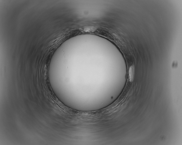 X0000090901443200707301001