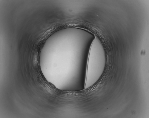 X0000090901444200707301001